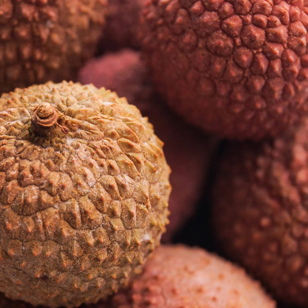 3212 Pandora's Secret|Perfume Shampoo