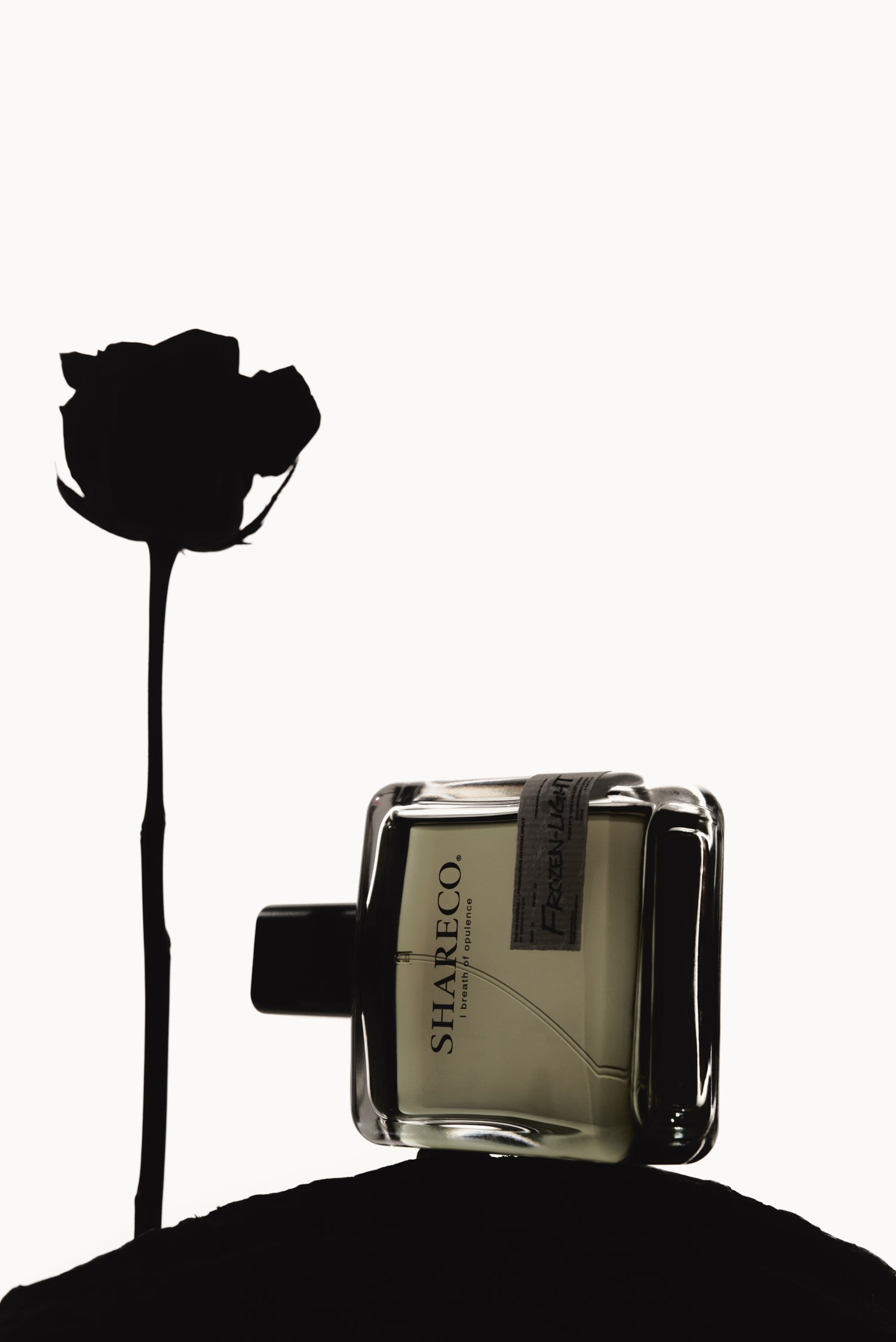 FROZEN-LIGHT|100ML