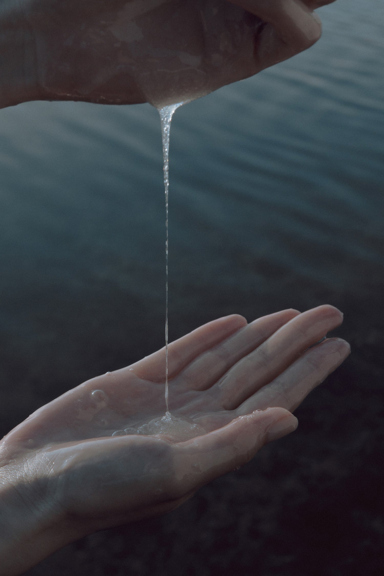 DAWN SHIELD - HAND WASH｜300ML